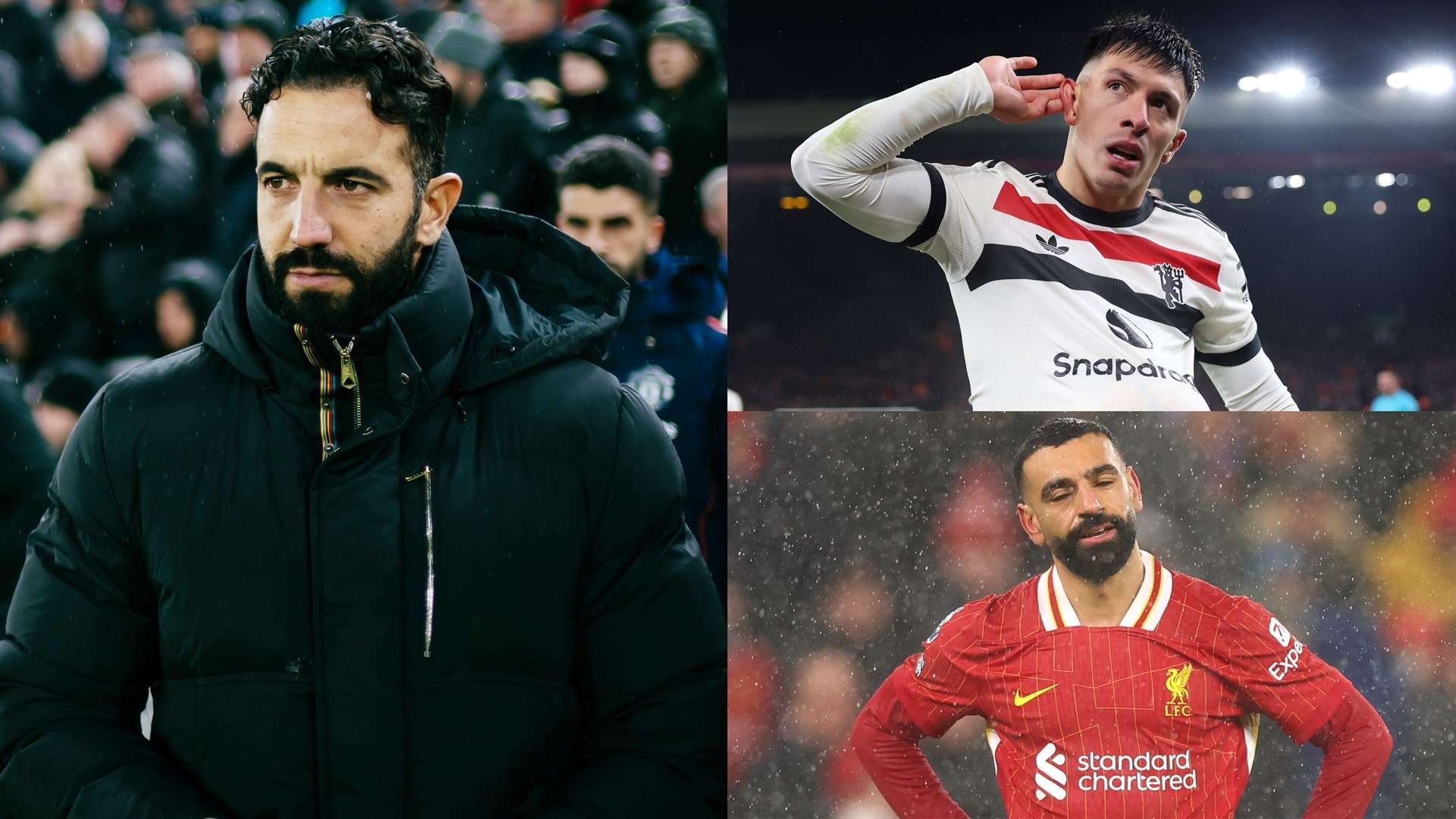 近年来在仰 近年来在仰